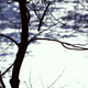 Illustration for article titled First Signs of Spring